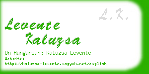 levente kaluzsa business card